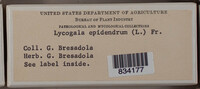 Image Associated With the Occurence